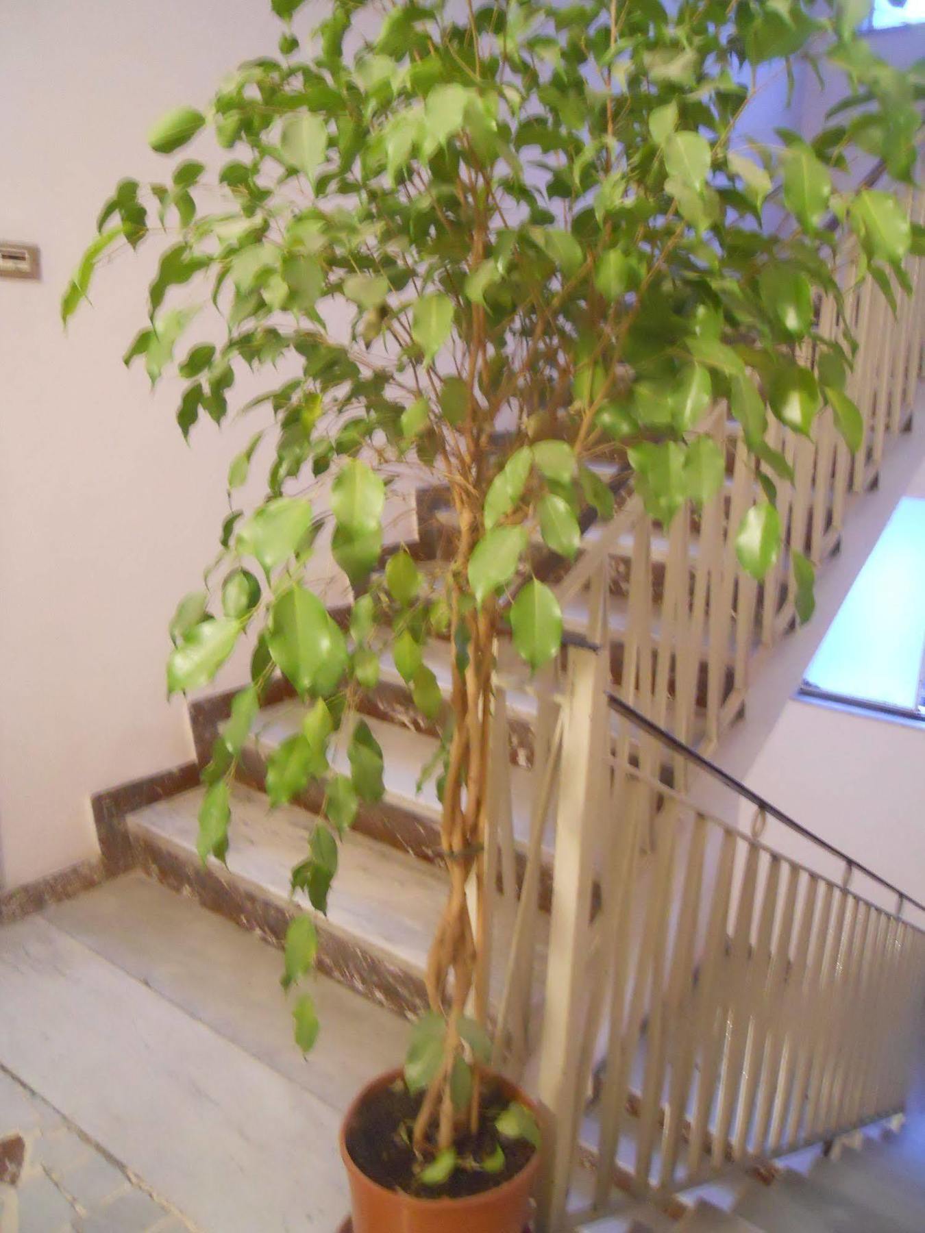 Catania Crossing B&B - Rooms & Comforts Kültér fotó